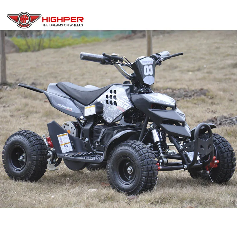 36V 800W Electric Quad with 3 Speed Limit