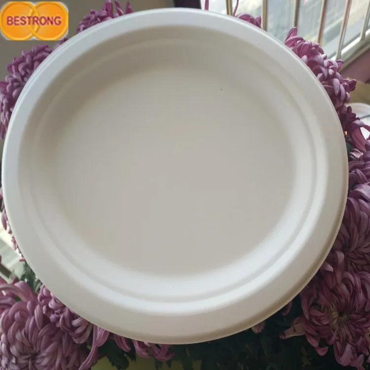 Environmental Bagasse Pulp for Tableware With Factory Price