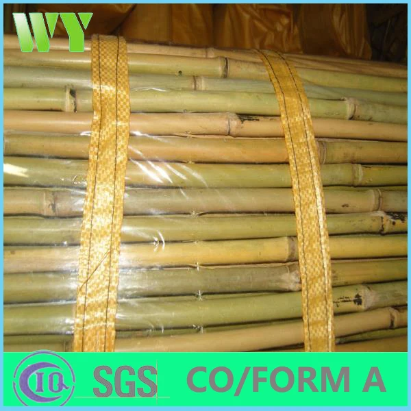 WY-180 Decorative Artificial Plastic Expanding Bamboo Fence For Gardens