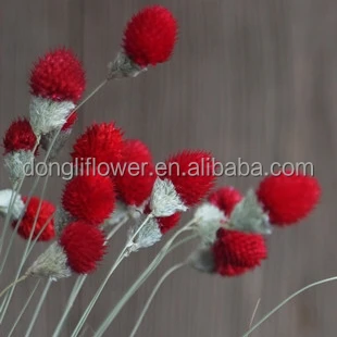 Floral Dried Handmade natural cedar nut Ball Flower