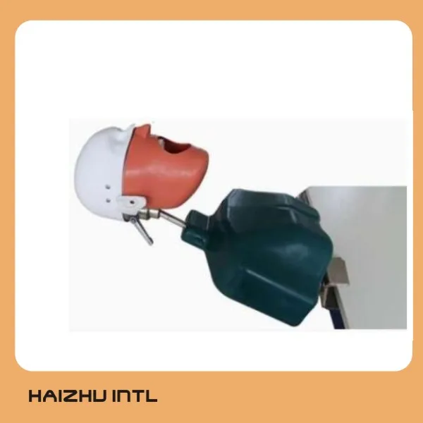Dental Simulation Training System, Dental Phantom Head, Dental Manikin with torso