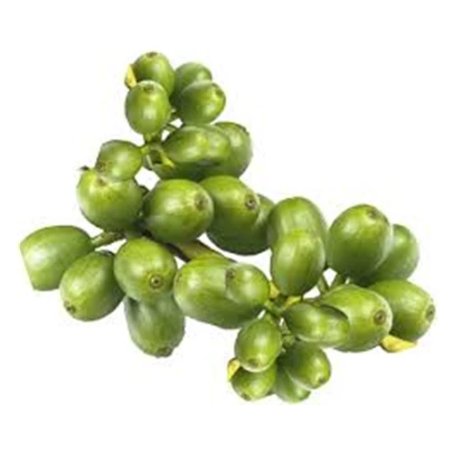 Factory Bulk Price Pure Green Coffee Bean Extract Powder Chlorogenic Acid