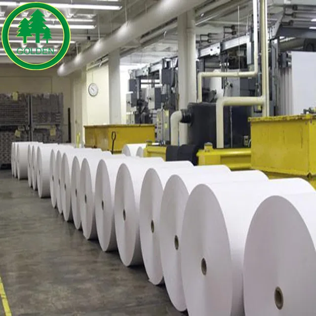 
Food grade top quality PE coated cup stock paper in roll&sheet 