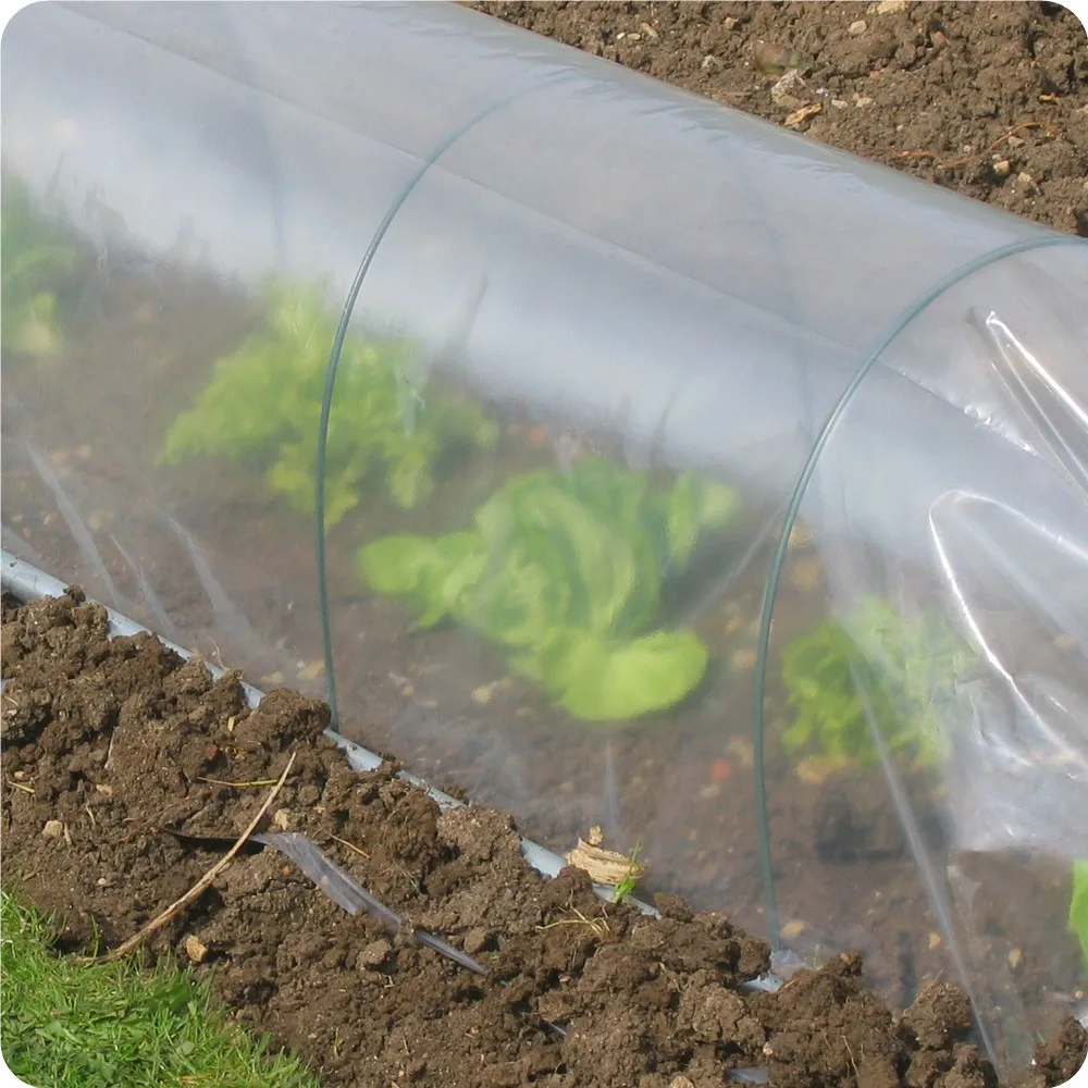 
Cover plastic film for greenhouse 