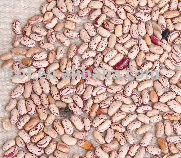 MC long shape 2021 new crop light speckled kidney bean (792)