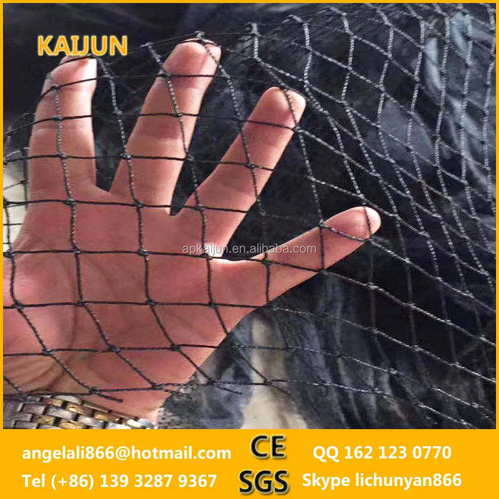 
good sale cheap uv anti bird net/bird netting agriculture 