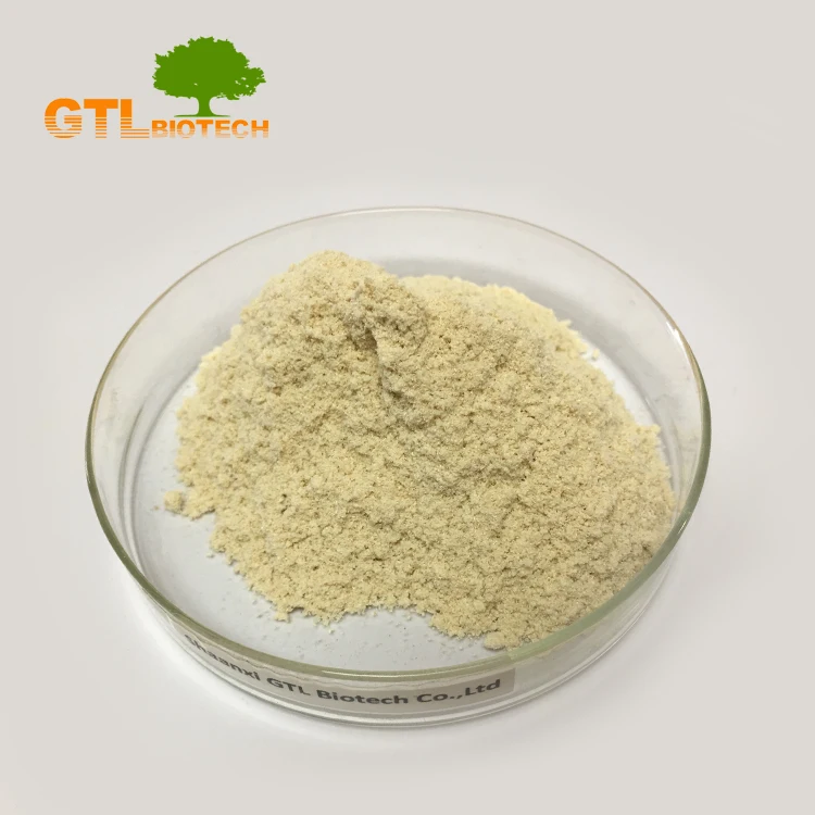 
Professional Bamboo Shoot Fiber Powder from GTL BIOTECH 
