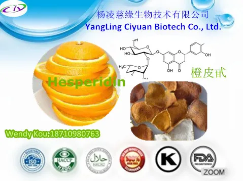 
Pure Professional Manufacturer Orange Peel Glucoside and Hesperidin Extract Powder 