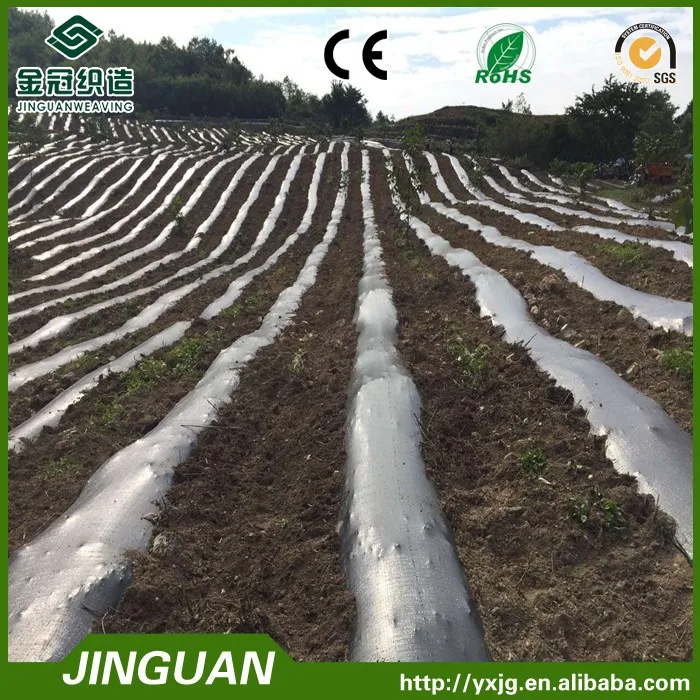 Agricultural plastic mulch film in roll