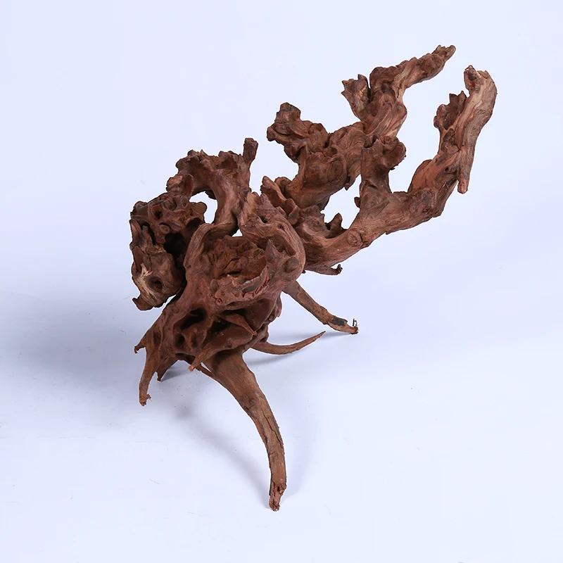 Натуральный водный аквариум NIHAO