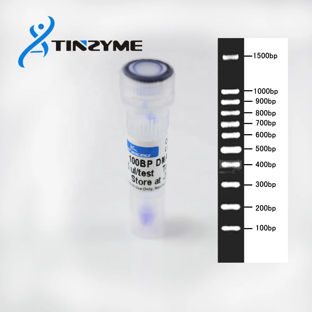 100BP ДНК лестница оптом упаковка, двухцветная 100BP лестница