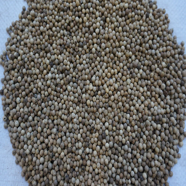 
Supplier High Quality Round White Pepper 