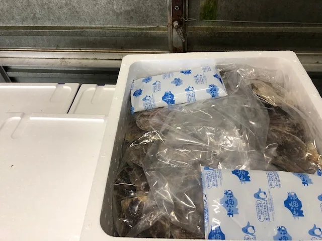 
Japanese Seafood Importer High Quality Fresh Shell Scallop Wholesale 