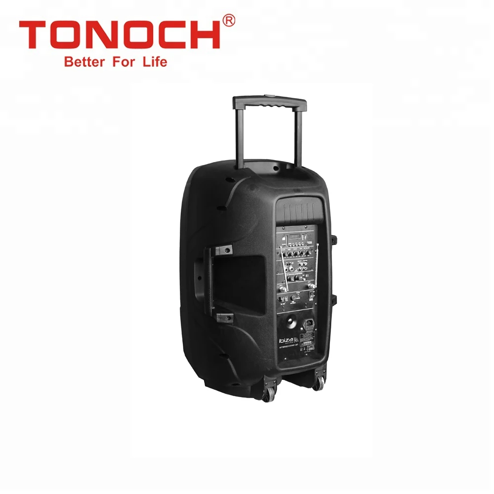 TONOCH 15 inch P series high power sound professional amplifier module