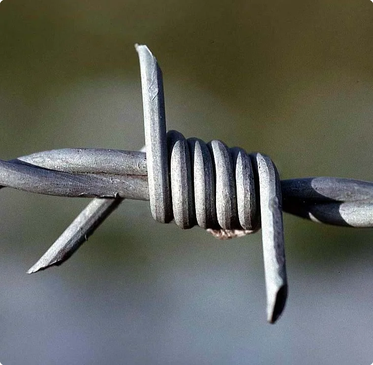 Оцинкованная железная колючая проволока 12,5 калибра для жилых помещений