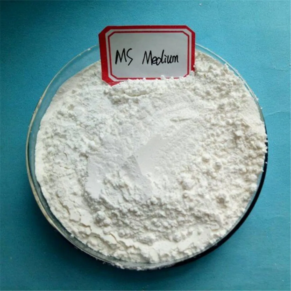 
`plant growth medium used in the laboratories MSO/ Murashige and Skoog medium 