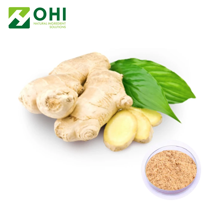 nature Extract ginger powder / organic ginger powder Zingiber officinale 5% Gingerols