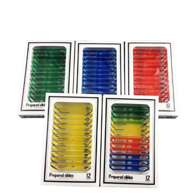 
4 colors plastic microscope prepared slides for home school education 