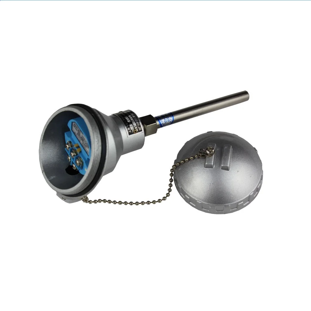 K-type armored thermocouple sensor armored thermal resistance PT100