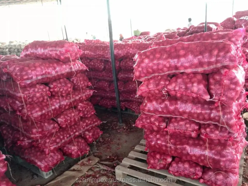 
Fresh Red Onions 