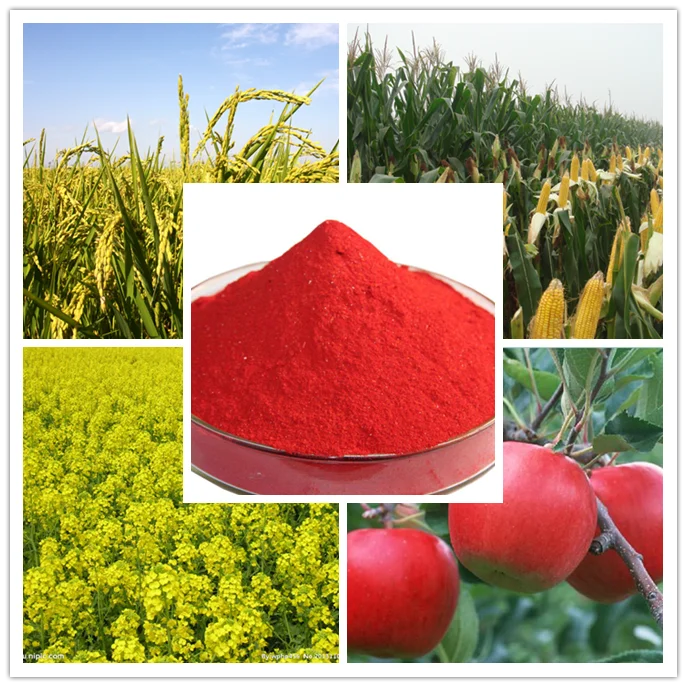 Quality plant growth hormone names of pesticides foliar fertilizer atonik