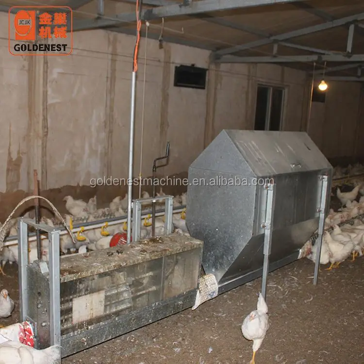 Goldenest Poultry breeder Chicken Breeding Machine Chicken egg poultry farm Equipment Automatic