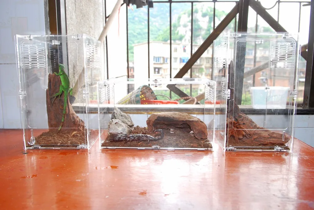 customize clear acrylic reptile egg incubator house box