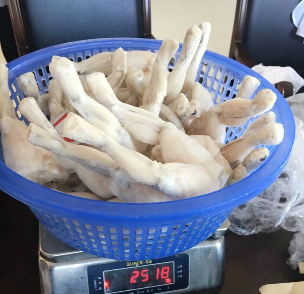 
Frozen High Quality Bull Frog Legs for sale 