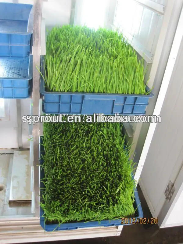 Гидропонная кормовая машина