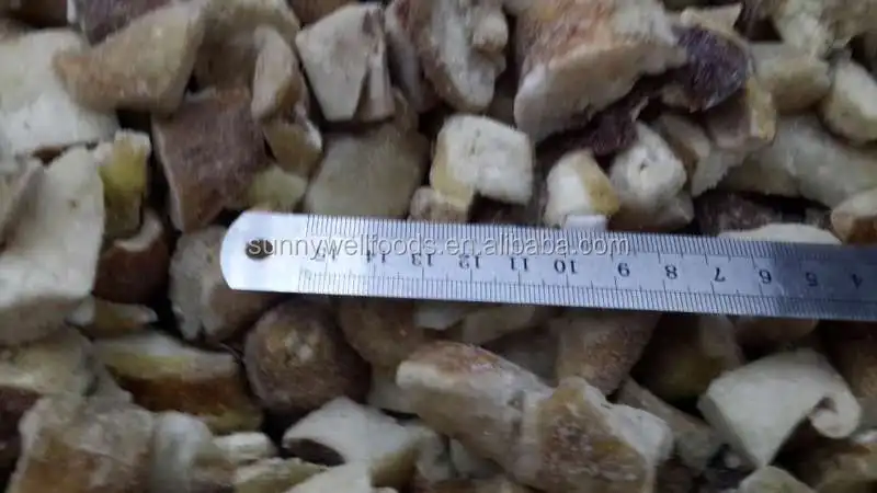 High Quality Frozen Wild boletus edulis cubes