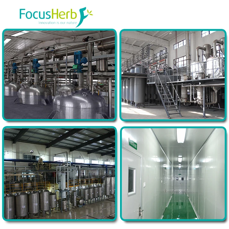 
FocusHerb supply Gamma Amino Butyric Acid, GABA 99% 