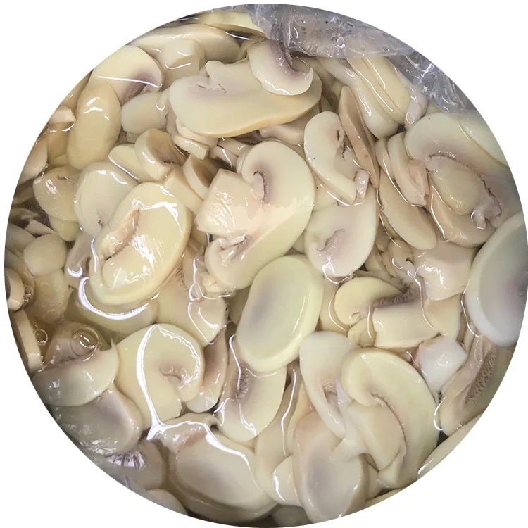 
Mushroom agaricus in converse 