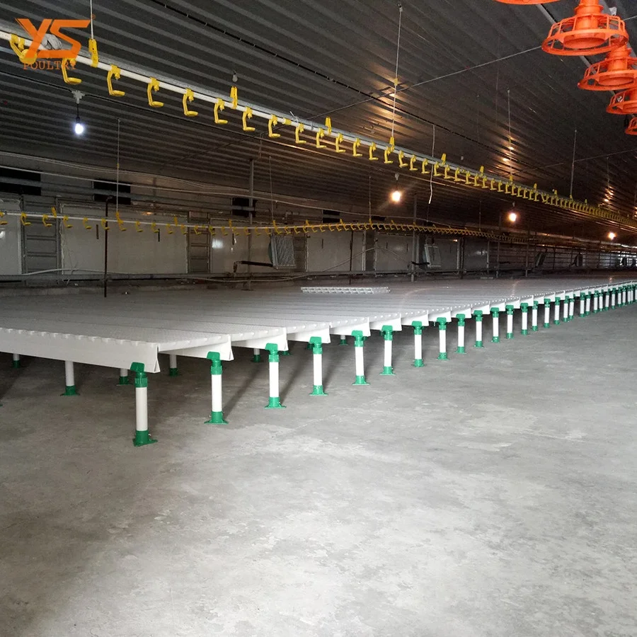 
Modern Automatic breeder floor/ ground feeding system 