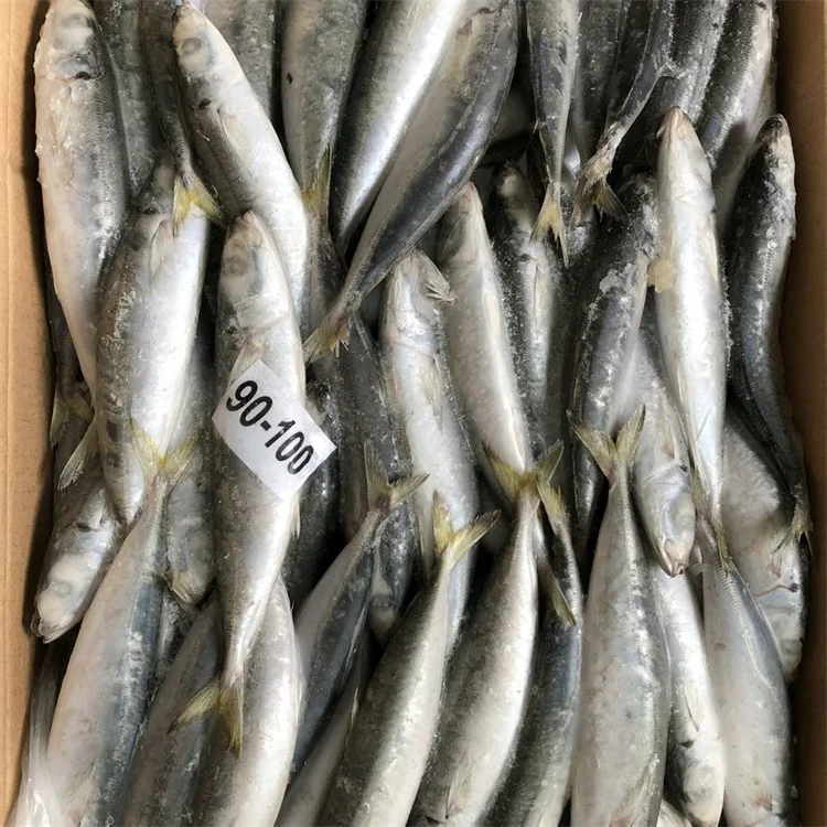 Оптовая продажа морепродуктов круглый scad скумбрия рыбы для