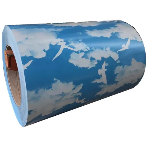 Pattern Ppgi Ppgl Metal Steel/hdg Coil Ppgi Sheet/colour Coated Steel Stainless Steel Coil Prices Fiber Cement Roof Sheet CN;SHN