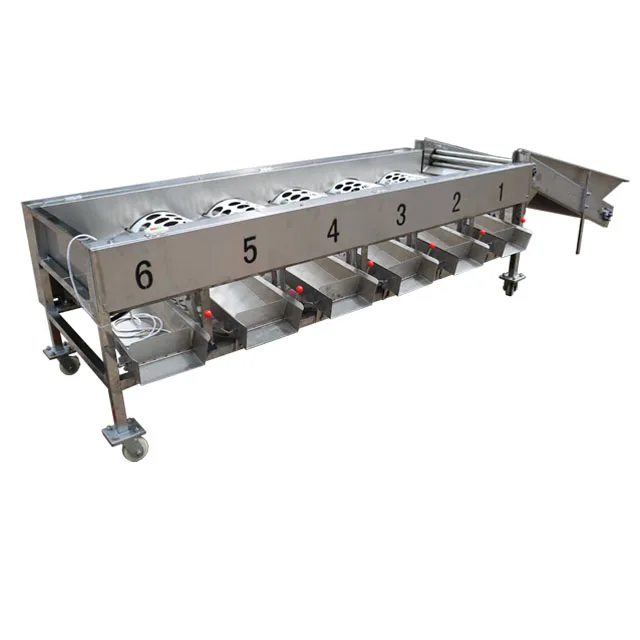 
Efficient vegetable and fruit sorting machine/tomato fruit grader grader /baby carrot machine 