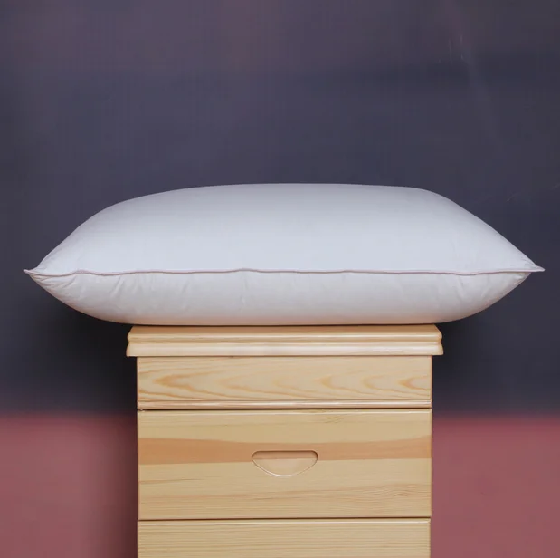 Machine Washable High Quality Goose Down Feather Pillow Feather Filled Pillow 70% Goose Down 30% Feather Pillow