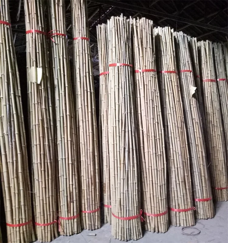 WY-J260 agricultural bamboo stakes wholesale / bamboo skewer/bamboo cane