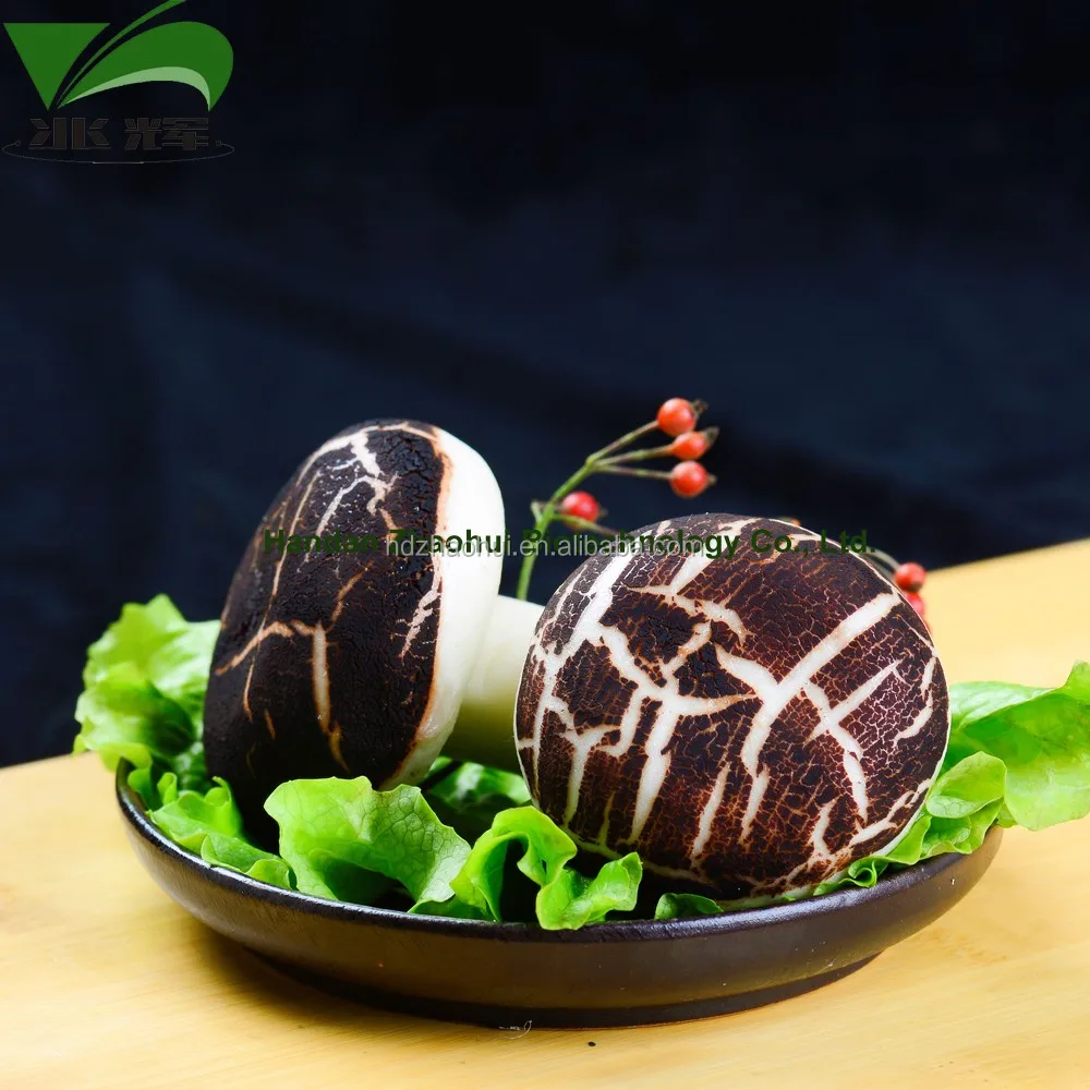 
Chinese Dim Sum Mushroom Chocolate Pau Steamed Buns Halal Food 