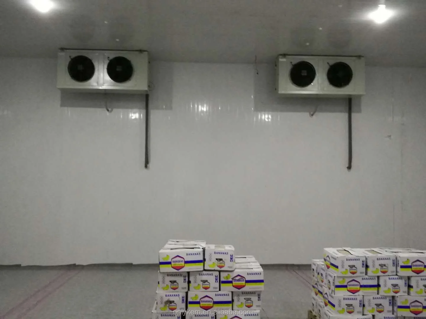 Промышленные холодильники с банановым созревателем