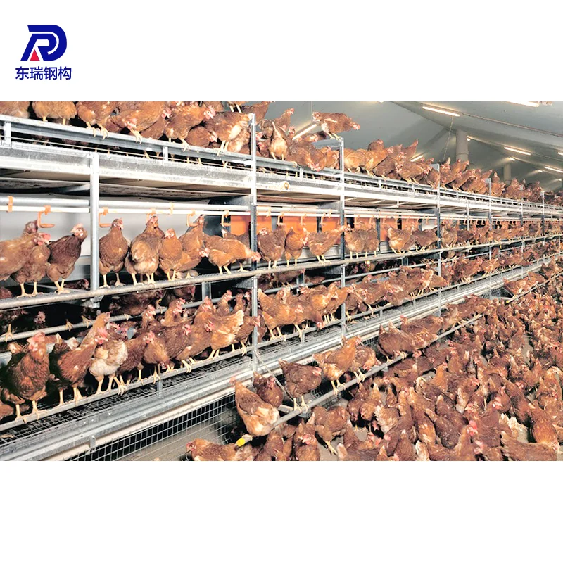 Light Frame Steel Structure Poultry Farm Shed Design Prefab Poultry House