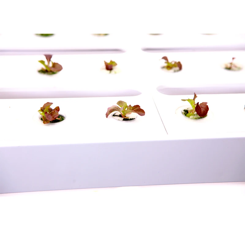 
High Quality Indoor Complete Vertical Hydroponic Growing System Kit with LED grow lights 