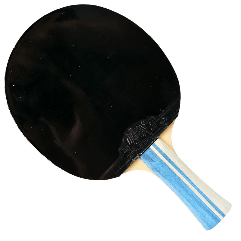 Palio Hadou professional carbon fiber table tennis racket pimples in ping pong racket