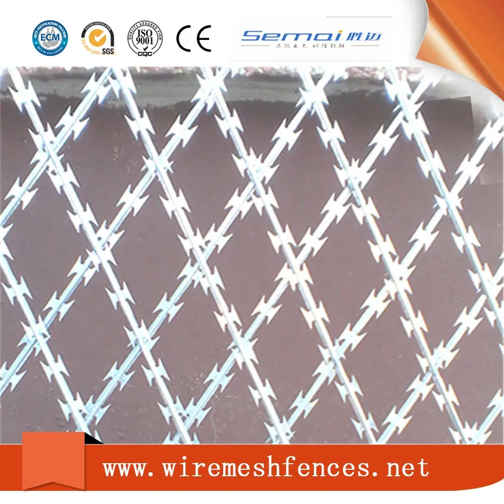 
cheap hot sale barbed wire razor wire mesh wall spike(factory) 