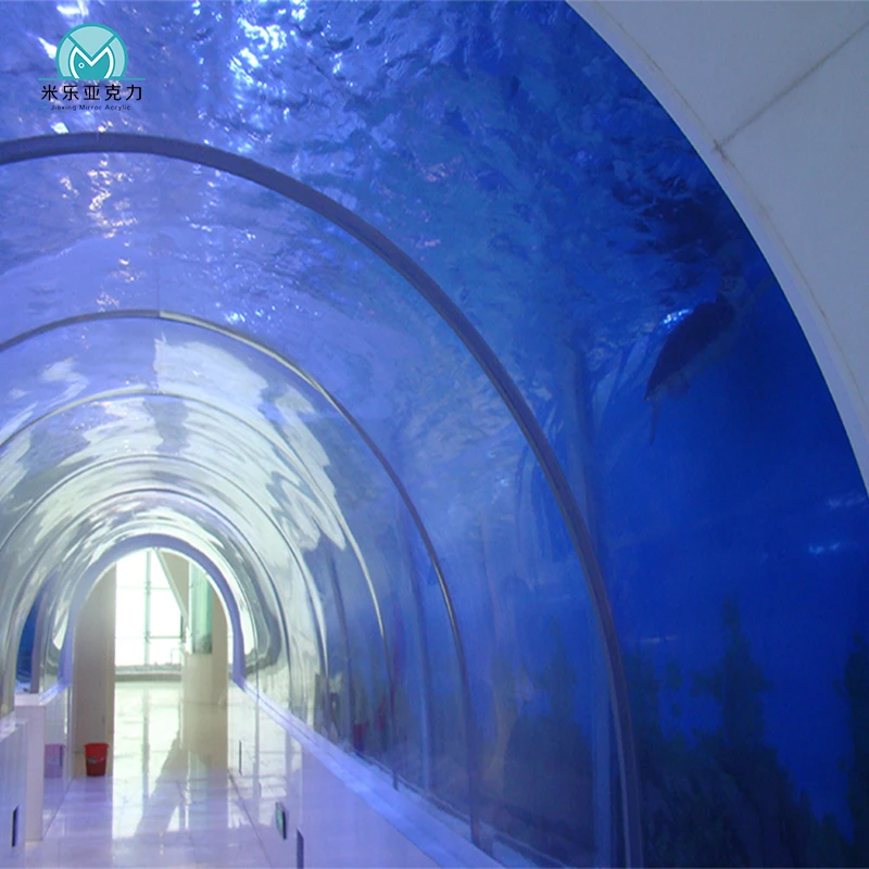 2023 exclusive custom finely crafted elegant new product tank plants aquarium tunnel