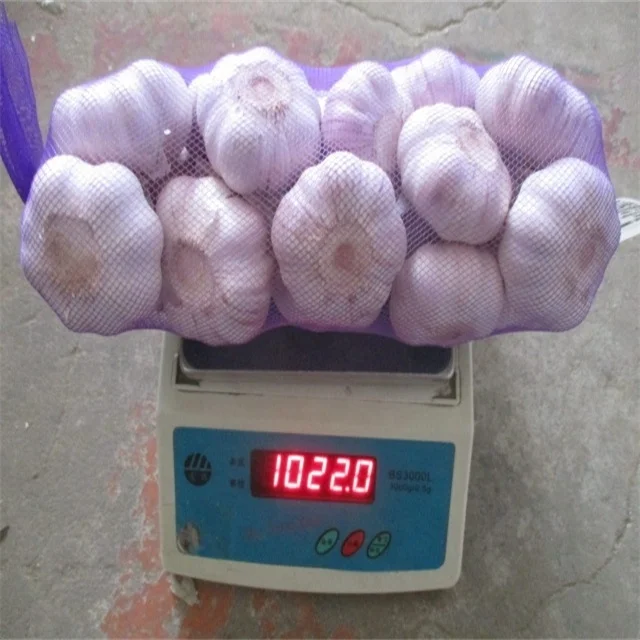 Оптовая продажа, чеснок/чесночная коробка 10 кг/свежий чеснок