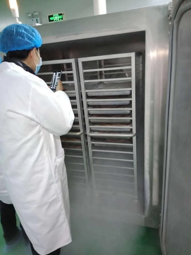 ultra low temperature chest freezer  DJL belt fish / hairtail liquid nitrogen iqf freezing machine