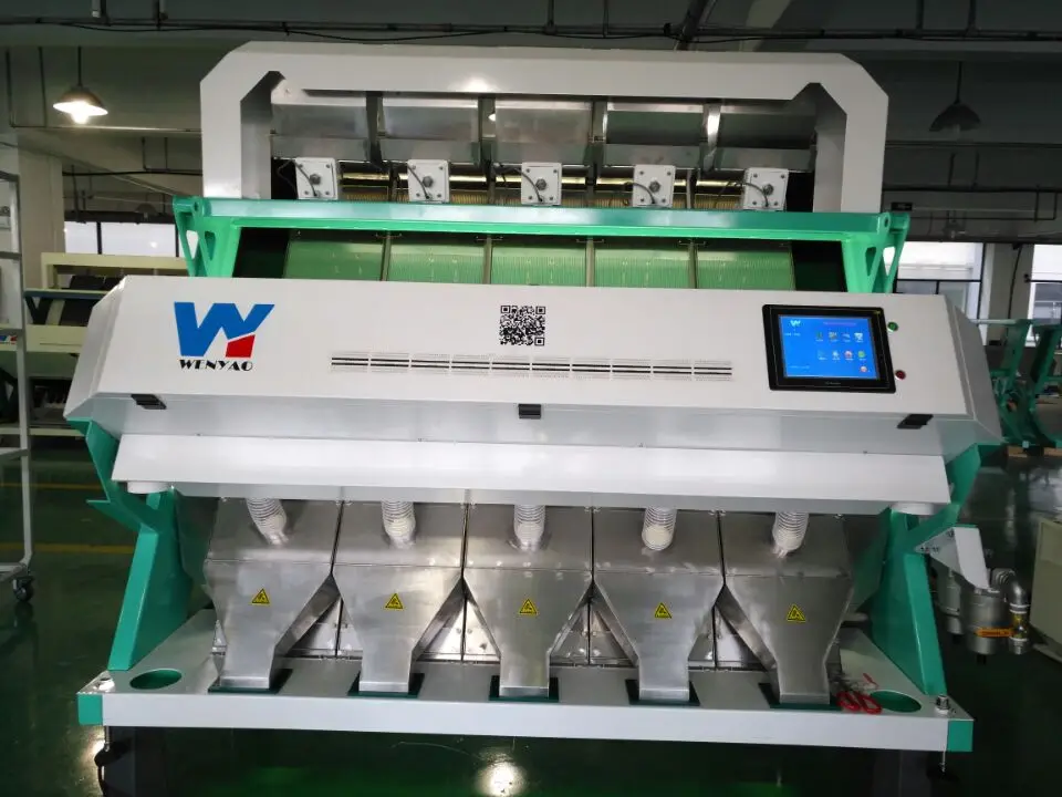 Automatic Ccd Color Sorter For Cashew Nut Apricot Kernels Walnut,Almond Processing Machines