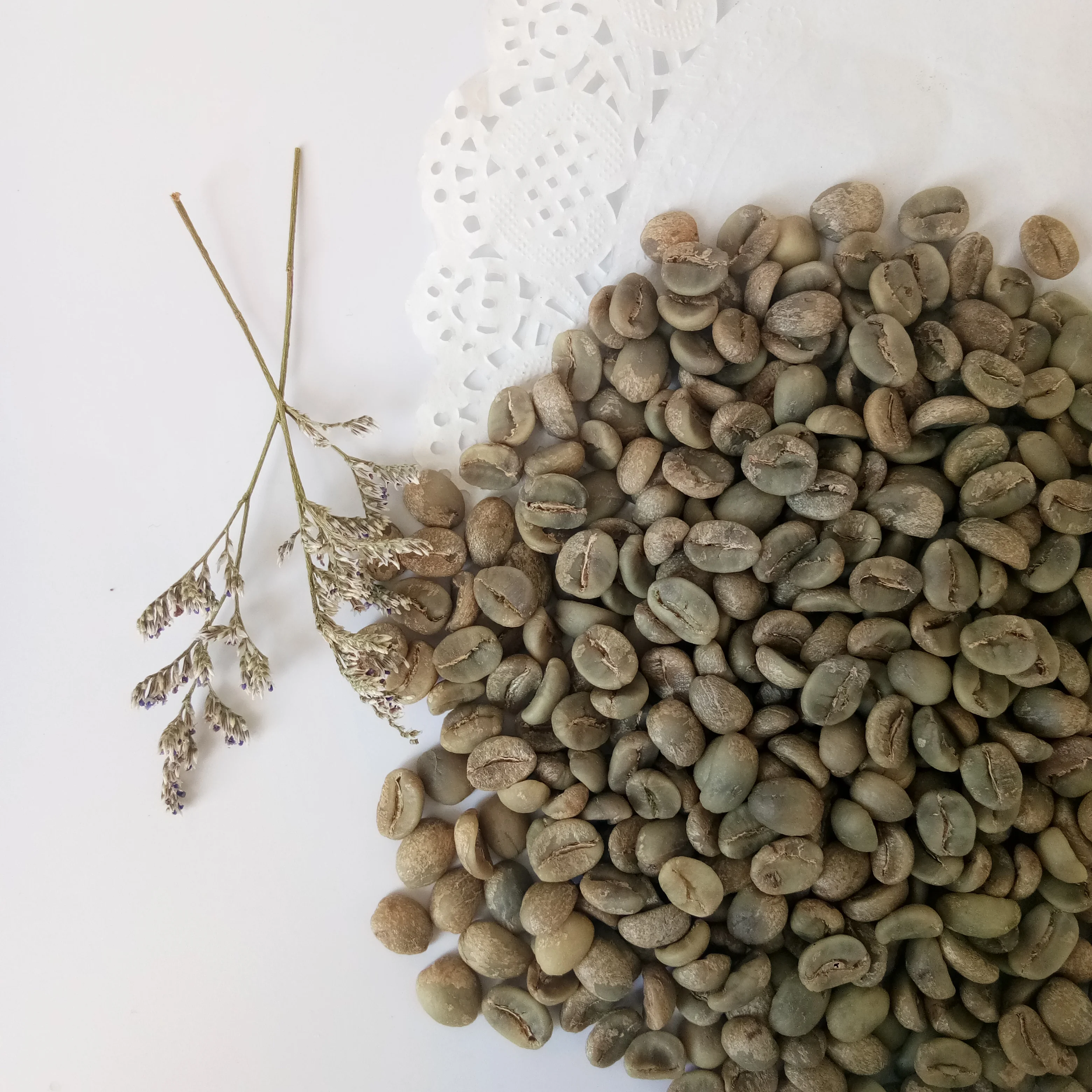 Цена необработанных зеленых и эфиопских нежареных кофейных зерен Арабики