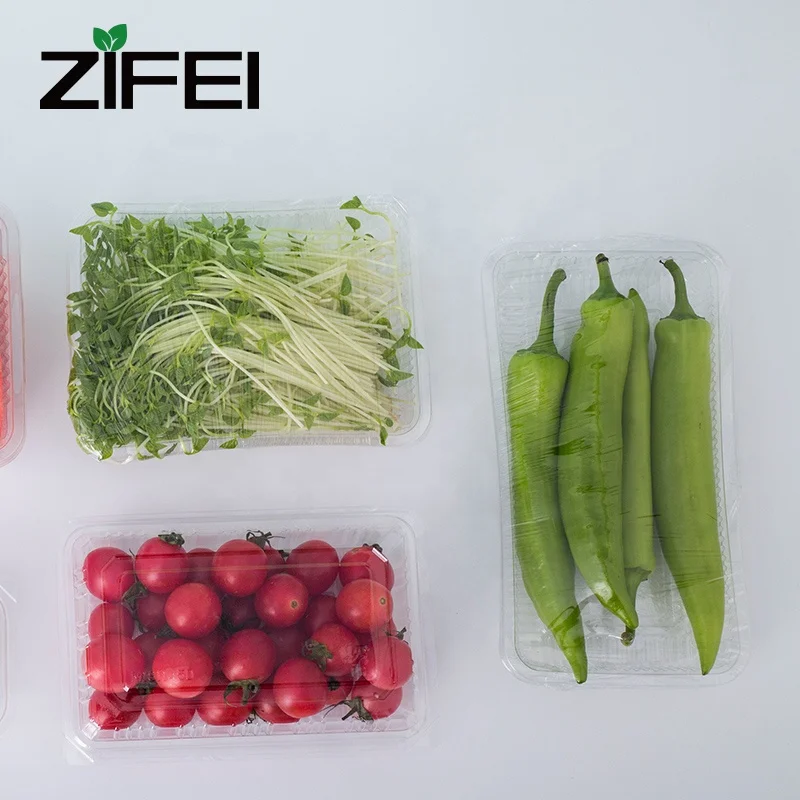 Disposable PET frozen food packaging big food plastic boxes used for fruit